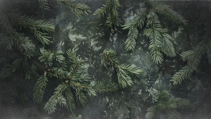 Christmas Eve: blank background