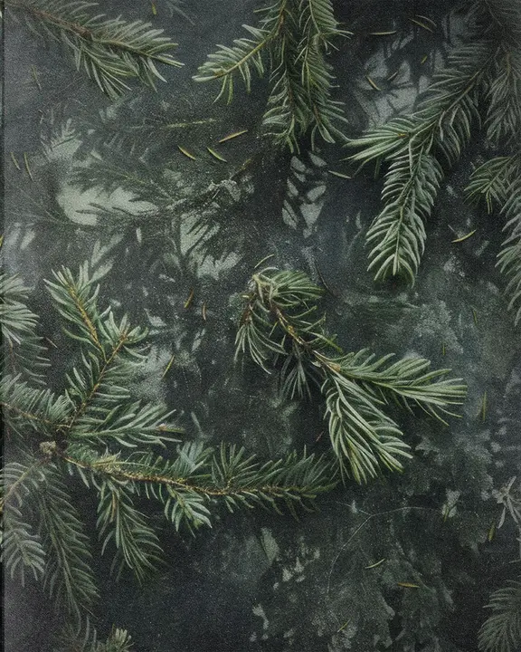 Christmas Eve: social post · blank