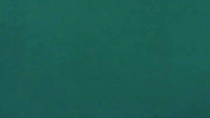 Christmas: blank background