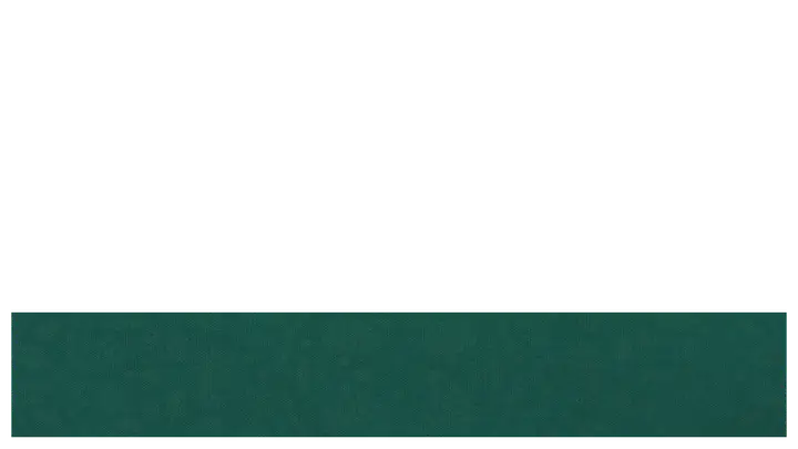 Christmas: lower third · blank