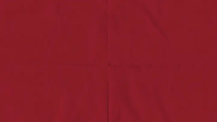 Family Carnival: blank background