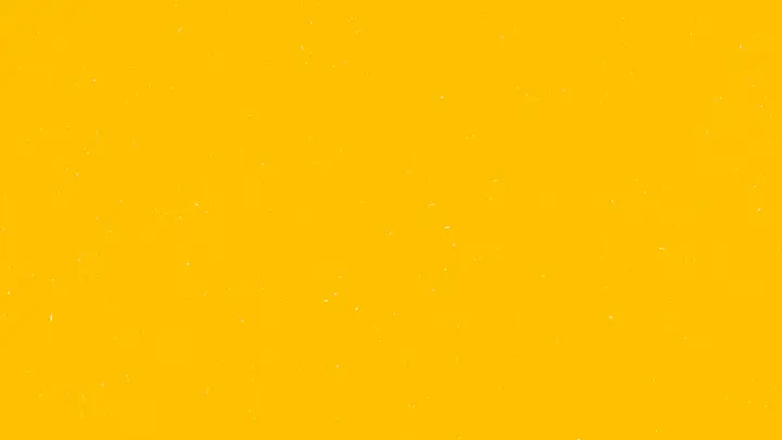 Volunteer Appreciation: 4K slide · blank