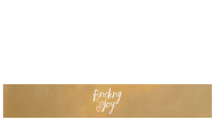 Finding Joy: lower third