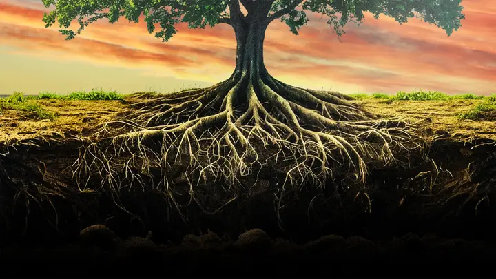 Root Work: 4K slide · blank