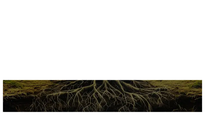 Root Work: lower third · blank