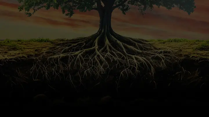 Root Work: notes slide