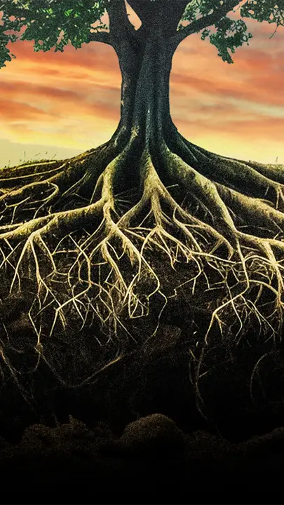Root Work: story · blank