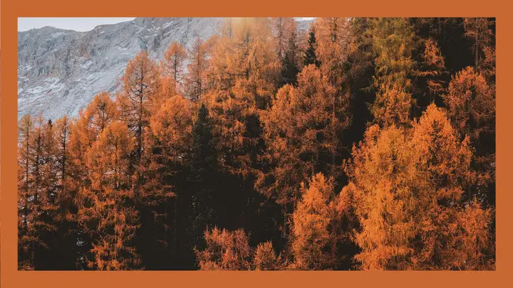 Fall At Your Church: HD slide · blank