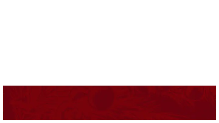 Christmas at Your Church: lower third · blank