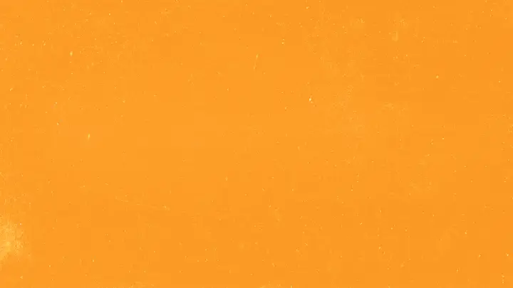 Turkey Bowl: 4K slide · blank