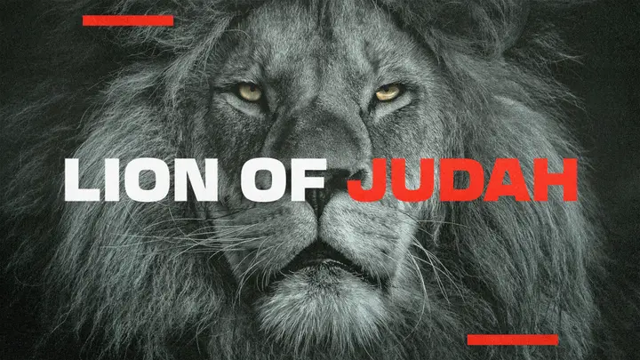 Lion of Judah: 4K slide