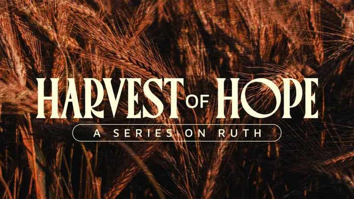Harvest of Hope: 4K slide