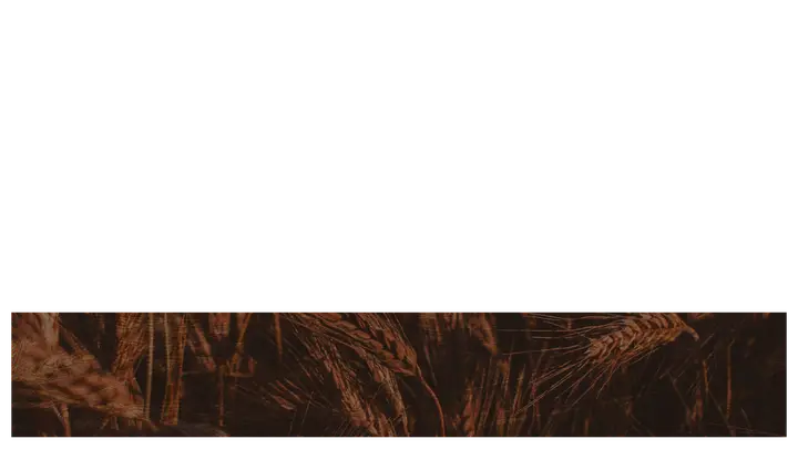 Harvest of Hope: lower third · blank