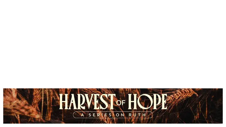Harvest of Hope: lower third