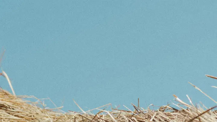 Harvest of Hope: 4K slide · blank