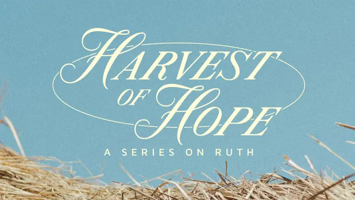 Harvest of Hope: 4K slide