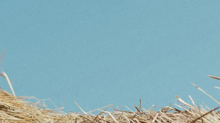 Harvest of Hope: HD slide · blank