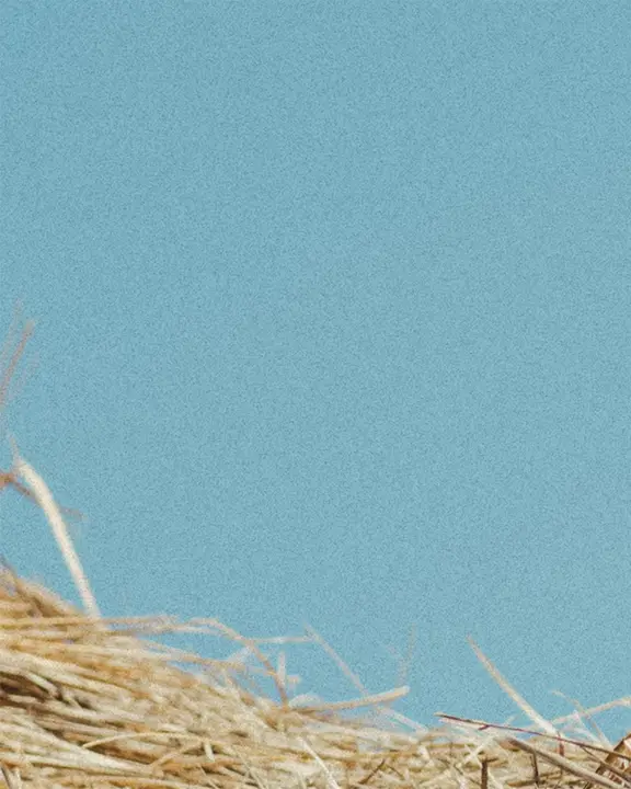 Harvest of Hope: social post · blank