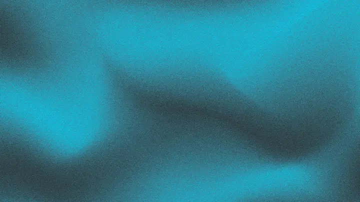 No Service: HD slide · blank