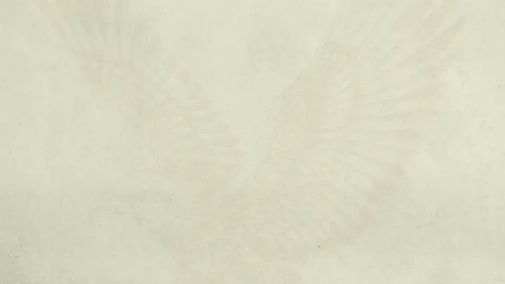 Celebrate Freedom: 4K slide · blank