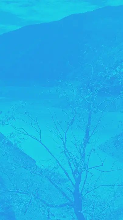Summer Camp: story · blank