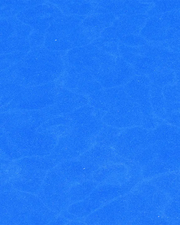 High School Summer Bash: social post · blank