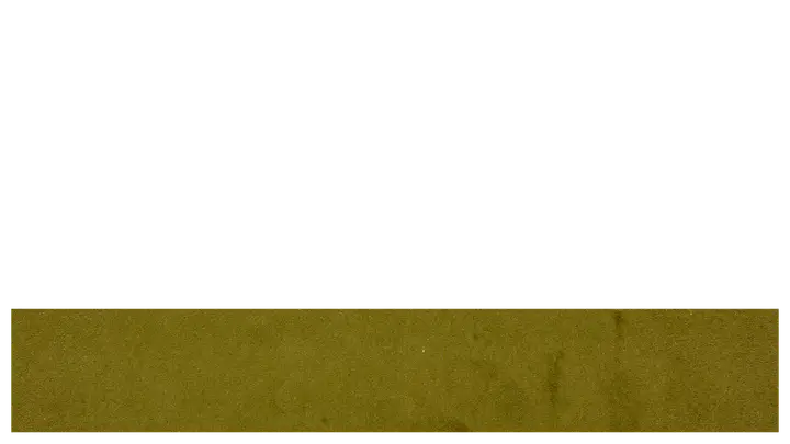 Camp Youth: lower third · blank