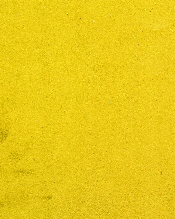 Camp Youth: social post · blank