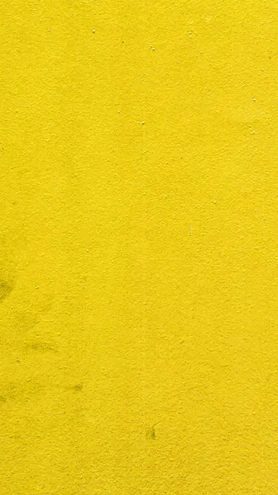 Camp Youth: story · blank