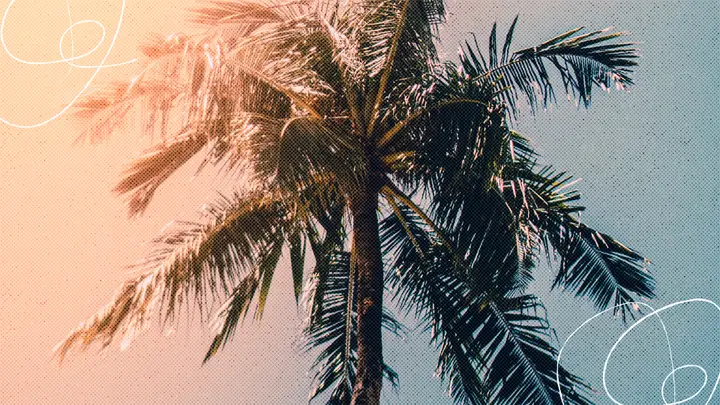 Summer Fun: 4K slide · blank