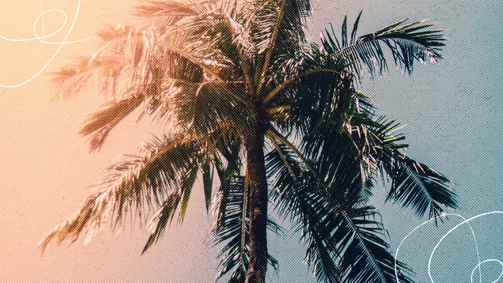 Summer Fun: HD slide · blank