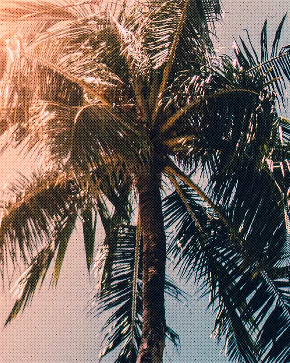 Summer Fun: social post · blank