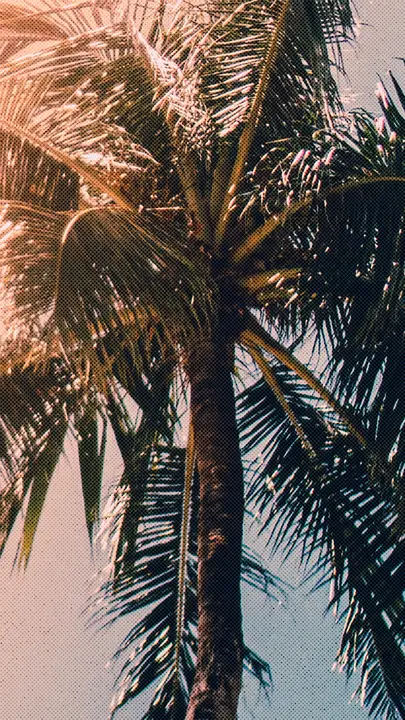 Summer Fun: story · blank