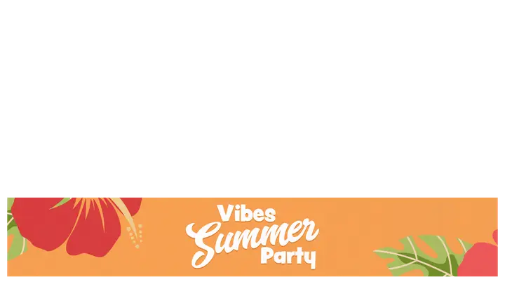 Vibes Summer Party: lower third