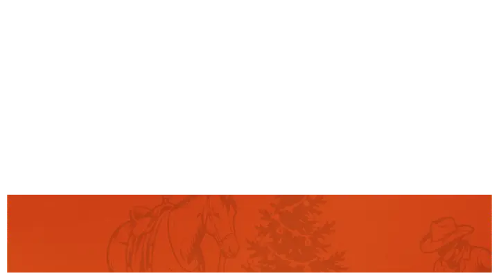 Merry Christmas Y'all: lower third · blank