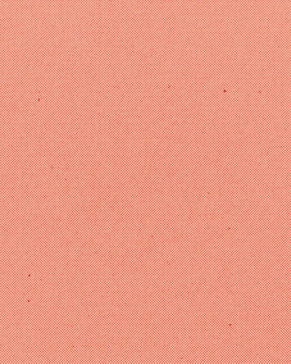 Summer Nights: social post · blank