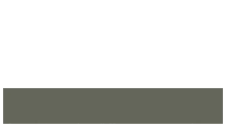 Summer: lower third · blank