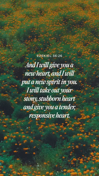 New Heart, New Spirit: story