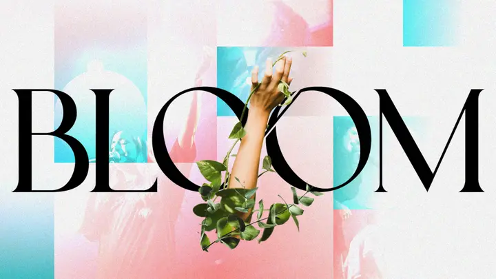 Bloom: 4K slide