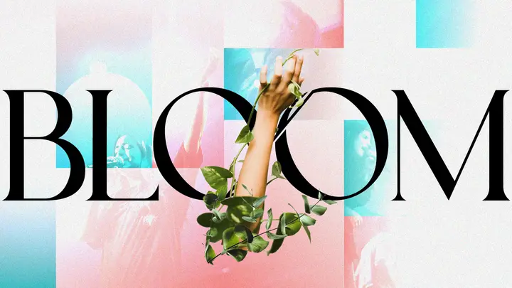 Bloom: HD slide