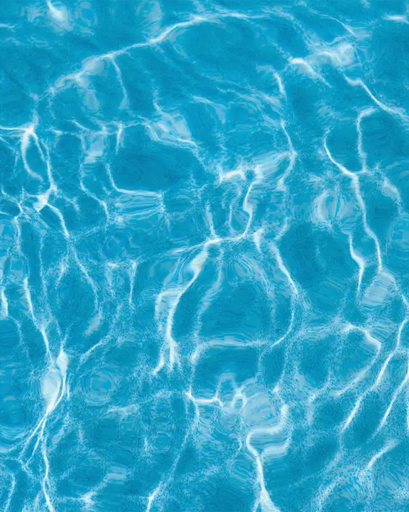 Sunday Swim: social post · blank