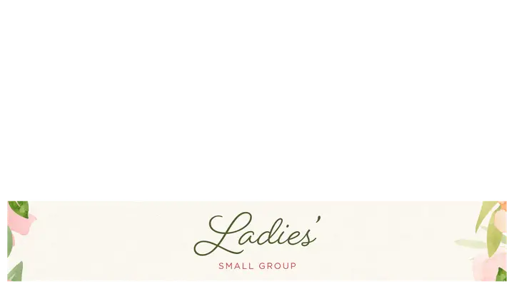 Ladies’ Small Group: lower third