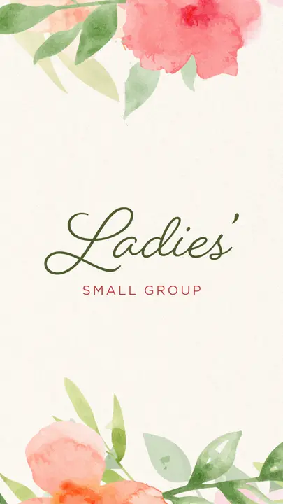 Ladies’ Small Group: story