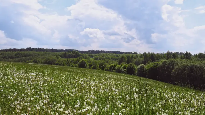 Summer At Your Church: 4K slide · blank
