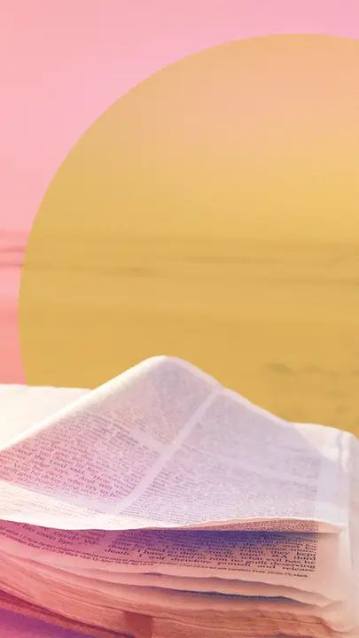 Women’s Summer Bible Study: story · blank