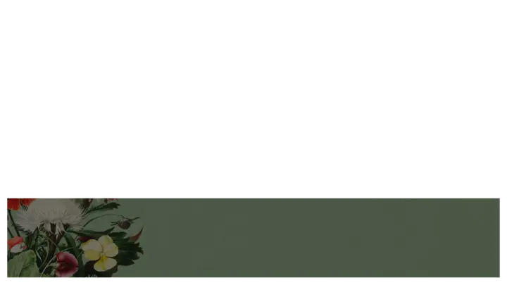 Mother’s Day: lower third · blank