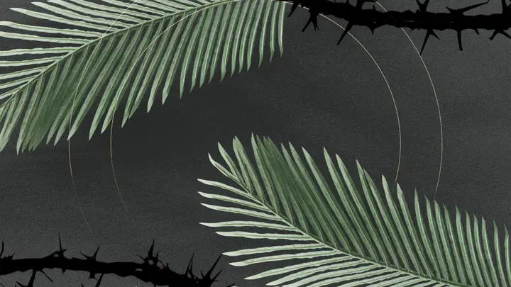 Palm Sunday: 4K slide · blank