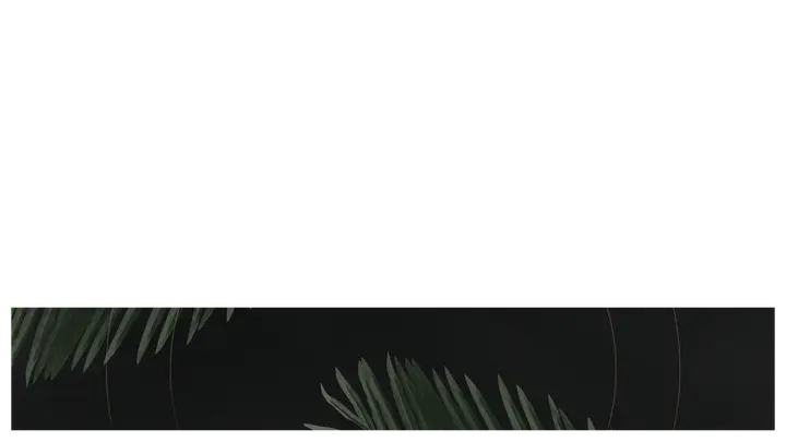 Palm Sunday: lower third · blank