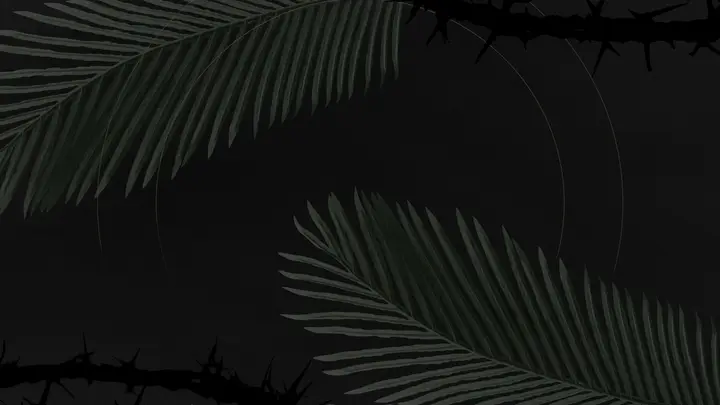 Palm Sunday: notes slide