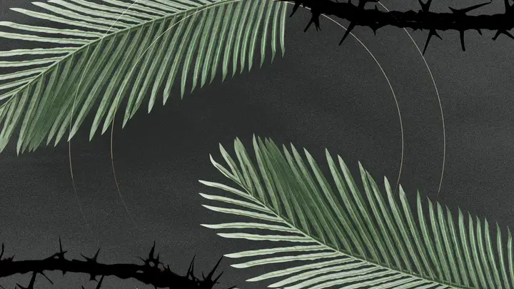Palm Sunday: HD slide · blank